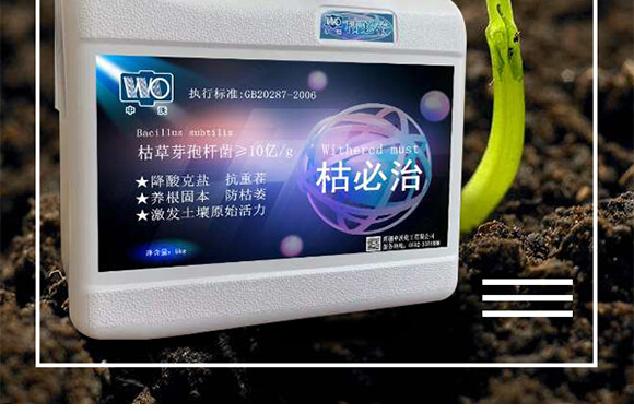 �ݱ���-���ֻ���_02