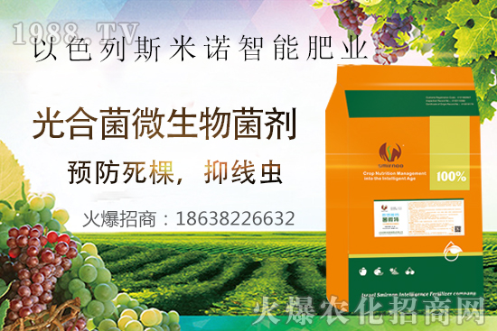 ���Y(ji��)���xΣ������̫�y��������΢�ء����æ�����ƾ��x���x�����Ƀ���