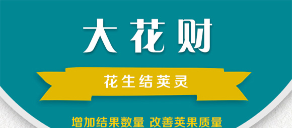 花生促花下針分杈劑-大花財-綠仕生物_01