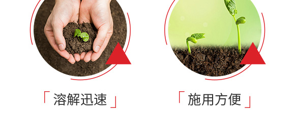 硫酸鉀型復合肥料25-14-6-鄂陽_08