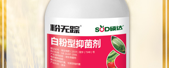 白粉型抑菌劑-粉無蹤-碩達_03