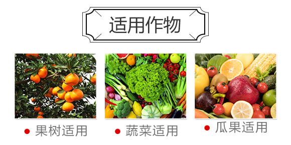 ����������l(f��)�ʹ�-����_04