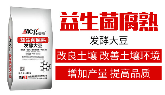 ����������l(f��)�ʹ�-����_02