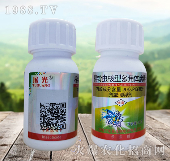 ����x���Ͷ���w������ʲô�x��Ч����ô������ô�x����