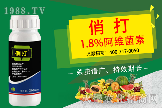 �����xΣ������ԓ��ô�����������x����ˎ�����]��