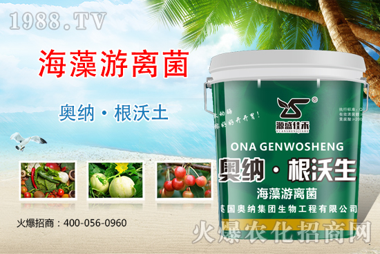 ���ӱ��W�{����Ʒ��(l��i)�u��������������o����ע��I(y��ng)�B(y��ng)�·�����