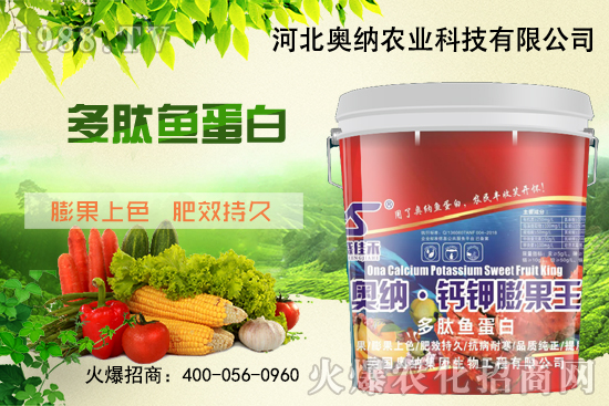 ���ӱ��W�{����Ʒ��(l��i)�u��������������o����ע��I(y��ng)�B(y��ng)�·�����