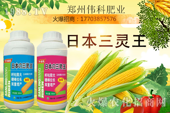 ���׿����״κ������׿����r�g�����׿����a(ch��n)Ʒ�x��