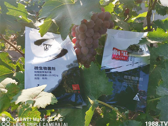 �îa(ch��n)Ʒ�����ã���һ�t���΢������������t���͑��挍������