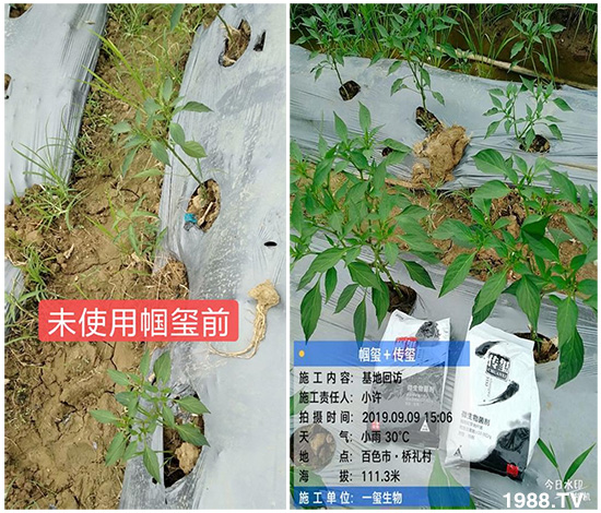 �îa(ch��n)Ʒ�����ã���һ�t���΢������������t���͑��挍������