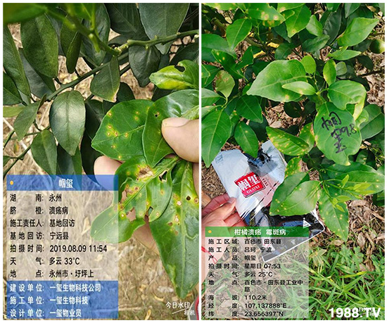 �îa(ch��n)Ʒ����������һ�t���΢������������t���͑��挍������