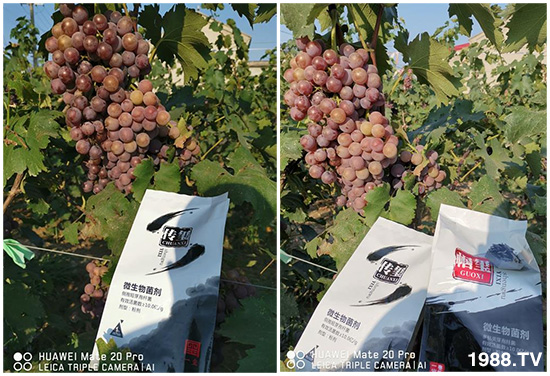 �îa(ch��n)Ʒ����������һ�t���΢������������t���͑��挍������