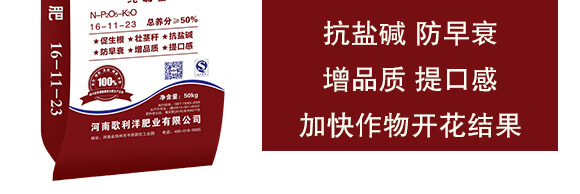 純硫基復合肥料16-11-23-歌利洋_04