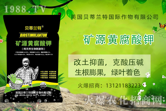 ���ÿ���ô�B(y��ng)�����ÿ��B(y��ng)ֳ������ע�����(xi��ng)��