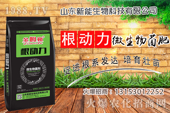 ����������ʲô�ʣ�ʹ�á�΢������ʡ���ʲô��(y��u)����