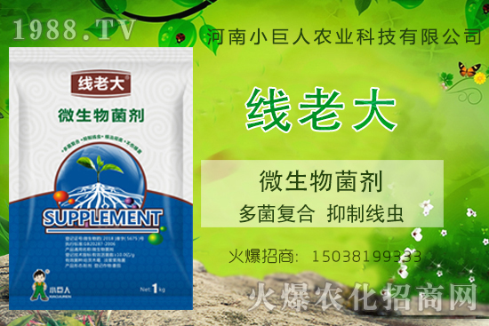 ���Y(ji��)���xզ���Σ����Y(ji��)���x����-�����ϴ󡱶����(f��)�������ƾ��x��