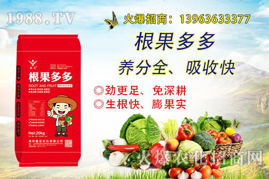 �����������������ô�k����������ࡱ����̽����������������B��