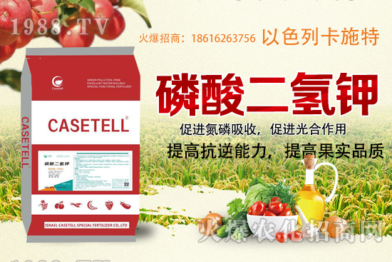  ����������ʲô�����������������ü�ʹ�÷�����