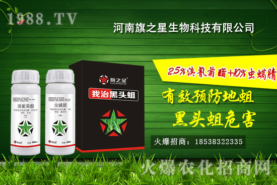 ������֮����ô����������֮�ǚ����a(ch��n)Ʒ����Щ��