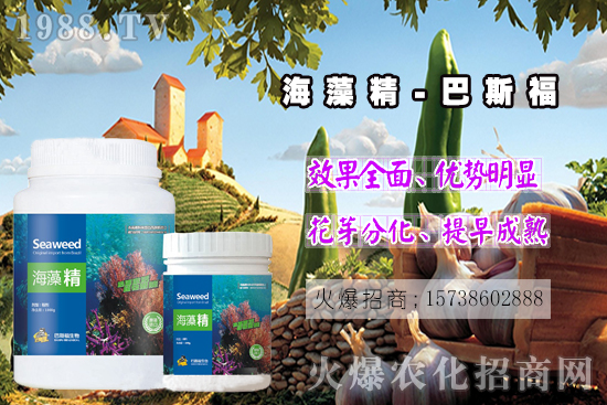  ߀���˽⺣�徫��ɶ����������out�������徫�����ж����