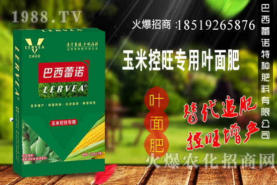 �������Z