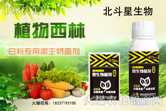微生物菌劑為什么能防治白粉??？白粉專用微生物菌劑有什么特點？