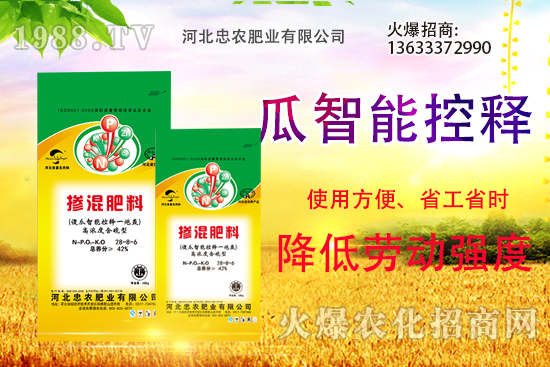 �������������Щ������ʵ�ʹ�÷�����ԓ����xُ��