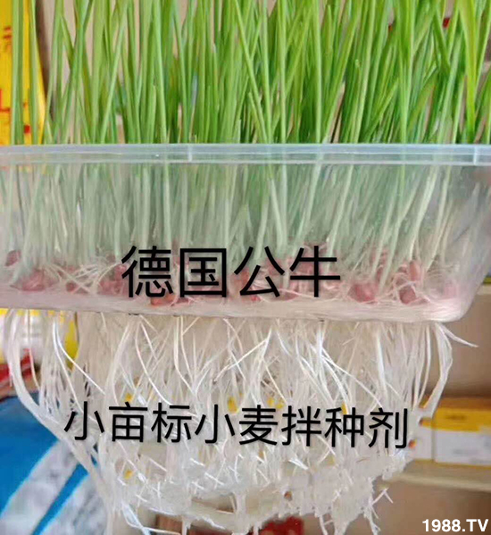 С����N�����a(ch��n)��С����N������x����С����N��Ʒ���x��