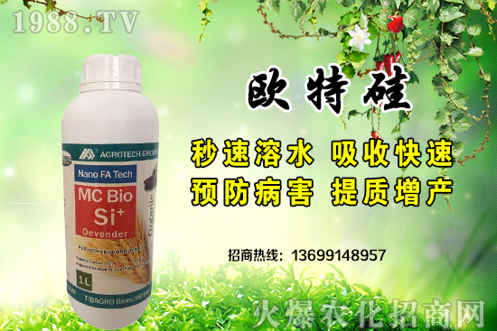 ��������̩�˼��F��˾