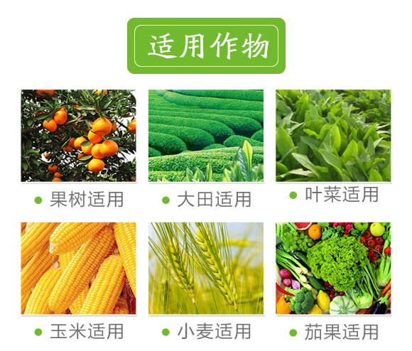 礦源黃腐酸鉀-黑色革命-愛農(nóng)斯達(dá)_07