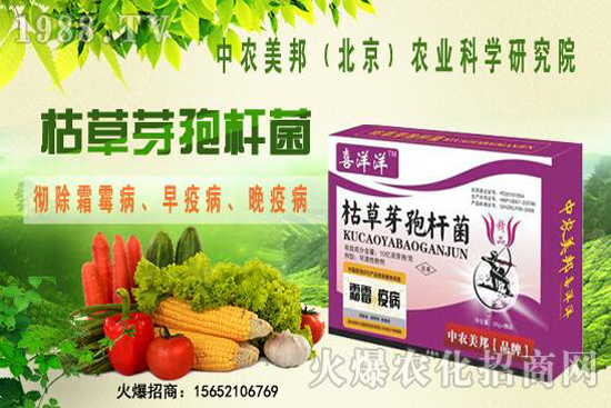 �ݲ�ѿ�ߗU���θ���������������Щ�������������Ό�������Щ��