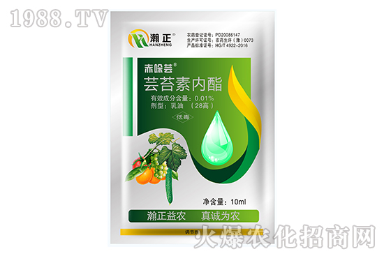 �|̦�؃�(n��i)����ʲô��(y��u)�����|̦�؃�(n��i)����(f��)�䷽������Щ��