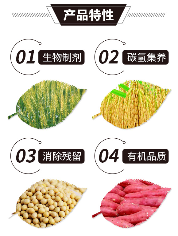 碳?xì)浜朔?金藻門-碳?xì)鋰H_02