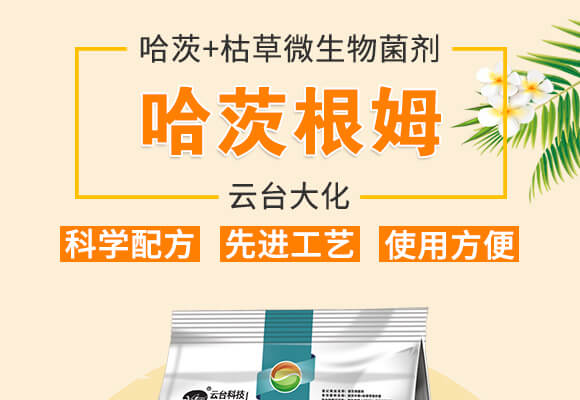 ���ĸ�ķ-���_��_01