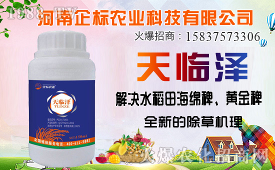 ������������ȷ�������������������݄��Ј�ͻ��20�|��Ԫ