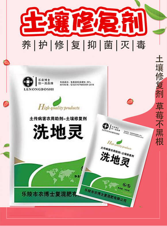 土壤修復(fù)劑（草莓）-洗地靈-樂農(nóng)博士_02