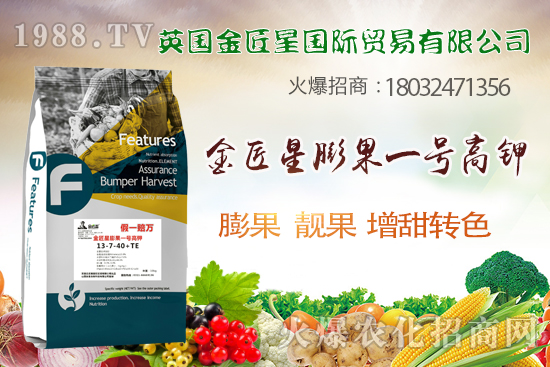 ɫ������ζ������������������(sh��)��ɶ�Z�߮a(ch��n)�����������һ̖(h��o)��⛡�ȫ�㶨��