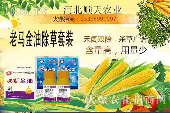 ����������������Ч�������׳����P(gu��n)�I�c(di��n)��R����