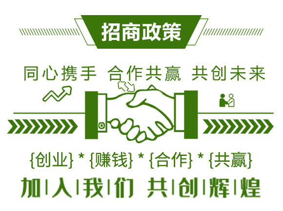 土壤修復劑（芹菜）-洗地靈-樂農博士_04