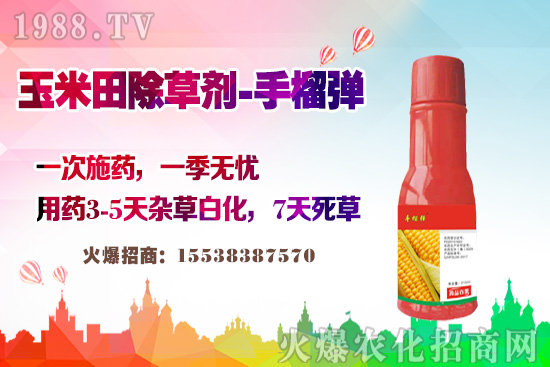 ������������v�������׳��݄��@�Ӵ������L�s�ݲ�������