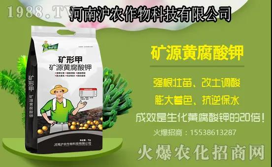 �Ϲ����L���Ďׂ��^�����Ϲ�ʩ��Ҫ�c����ʲô���Ϻã�