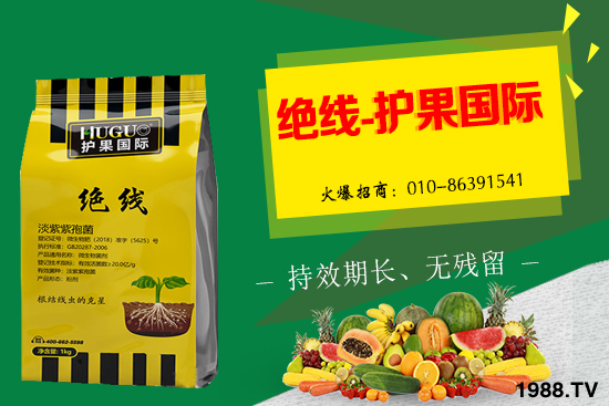 �޻���ʲôҪ�����������Щ��̎���޻�������g�������h��