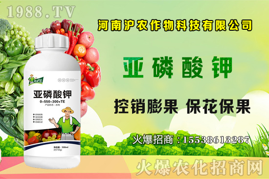 ���[����Ҫ�c(di��n)��֪���᣿���[��Ҋ���x������Щ����η��Σ�