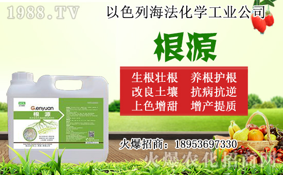 �o(w��)������ôǤ�����o(w��)����Ǥ��r(sh��)�g��Ǥ�己ֳ������