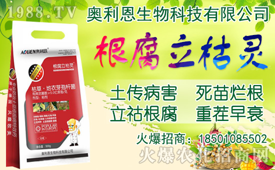 ���[���ʩ�������[�Nֲ���������N�r�g��