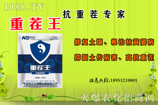 ɽ��ʲô����(ji��)���죿ɽ�����Ҫ�a(ch��n)������������ôʳ�ã�