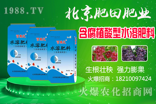 �J�̮a(ch��n)�����ģ��J��ʲô�r(sh��)��������������x�J�̣�