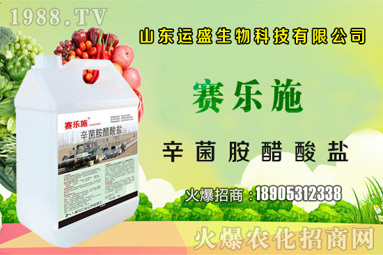 �����Ә���ڷ۷����������Ә���ζ�������