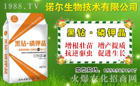 大棚菜豆如何施肥？菜豆需肥特點與施肥技術(shù)！