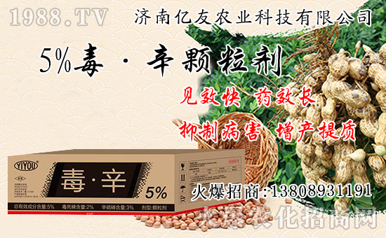 �������Ժʹ�����ʲô��ͬ���������԰˴��P(gu��n)�IҪ�c(di��n)��